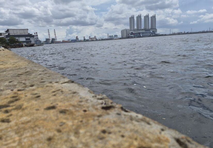 MEZkHn4OzbaB3vLefFe1cM8ULkhs1a3wNVJzGw5d-1